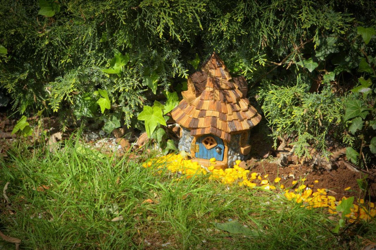 Fitzgeralds Woodlands House Hotel Едър Екстериор снимка
